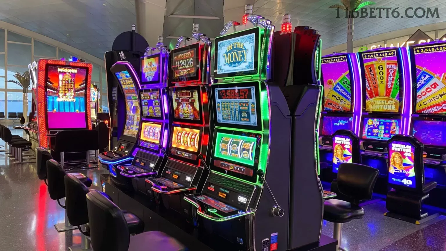 App 116bet slots mobile